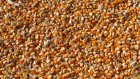 Le Bénin interdit l'exportation de maïs jusqu'à nouvel ordre