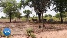 Tchad : l'urgence de trouver des solutions aux conflits entre éleveurs et agriculteurs