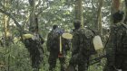 RDC : prolongation de l’opération militaire conjointe avec l'Ouganda dans l'Est