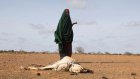 Réfugiés somaliens au Kenya: situation critique dans le camp de Dadaab