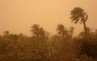Météo en Algérie : alerte aux vents de sable malgré le beau temps