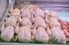 Du poulet russe bientôt sur les tables des Algériens, une chute des prix à prévoir ?