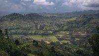 RDC: l'accès à la terre l'un des enjeux du conflit dans le Masisi? [1/3]