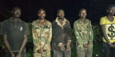 Est de la RDC : les Forces démocratiques de libération du Rwanda, la menace fantôme