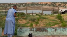 Mauritanie: la saison des pluies, l'occasion pour les citadins de renouer avec la nature