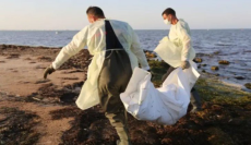 Gabès : La mer rejette cinq corps en état de décomposition