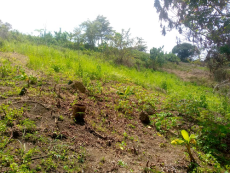 Vue du projet village agricole dénommé Zita Olingui Nguema à Koula-Moutou