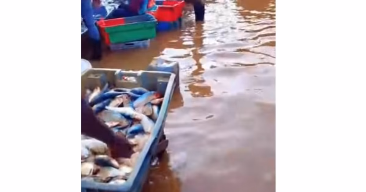 Inondations à Dakar : le marché aux poissons de Baux Maraîchers submergé par les eaux