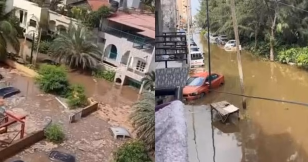 Inondations aux Maristes : 188 personnes mobilisées pour une opération de prévention sanitaire