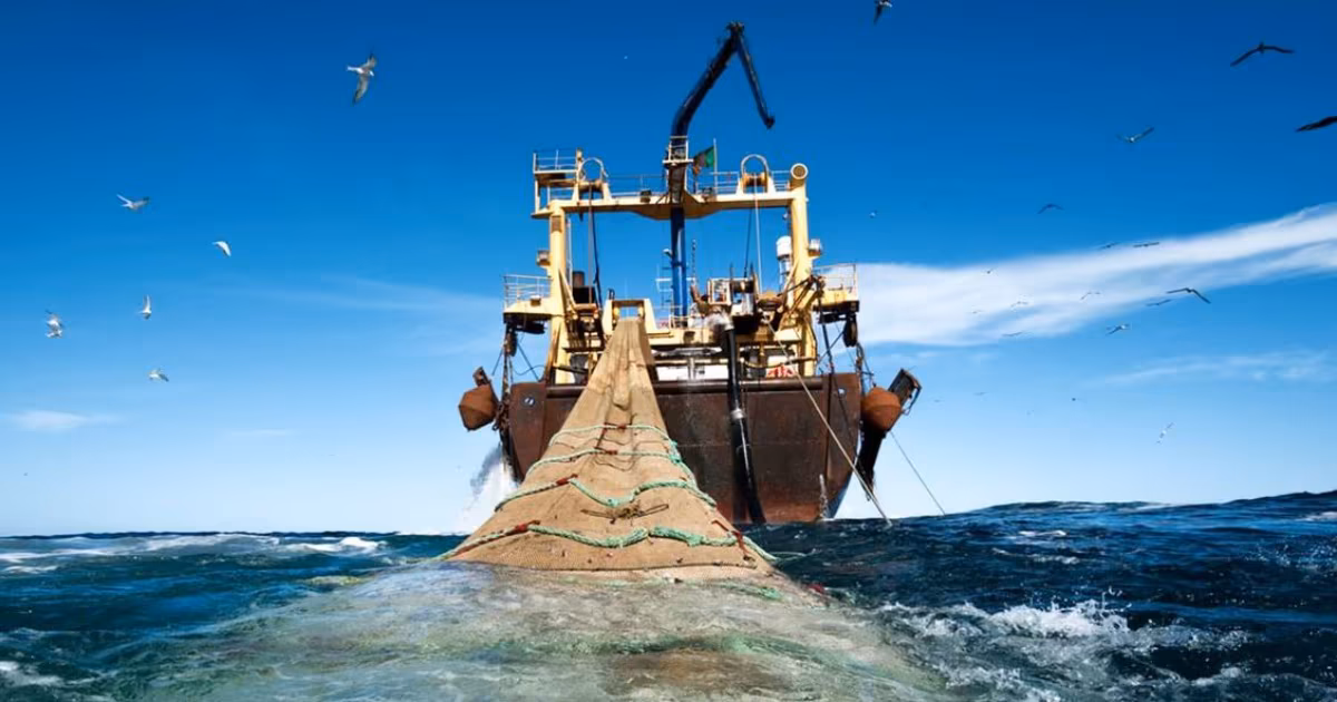 Licences de pêche : Révélations sur les auditions qui peuvent faire tomber des têtes