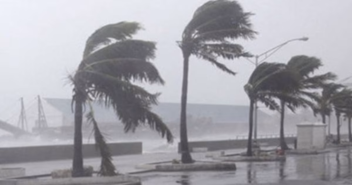 Météo du Sénégal : Des pluies attendues sur 11 localités ce samedi, selon l’ANACIM