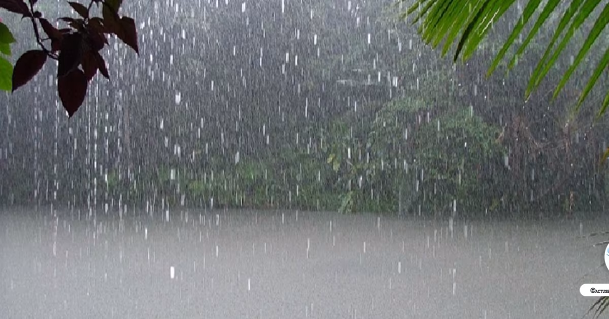 Météo du Sénégal : Voici toutes les localités qui vont enregistrer de la pluie ce soir