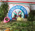 Côte d’Ivoire : 2267 plants de cannabis détruits dans 3 champs