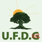 Animation politique : le congrès extraordinaire de l'ufdg prévu pour le 6 juillet
