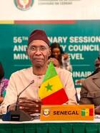 Cheikh Niang : un an de diplomatie de terrain dans 18 pays
