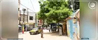 Khar Yalla : une boulangerie dépense 30 000 FCFA de gazole pour alimenter un groupe électrogène