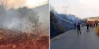 Bejaïa, Tizi Ouzou, Tipaza… 22 feux de forêts enregistrés en une journée