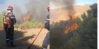 Feux de forêt en Algérie : plus de 15 incendies en 24 heures
