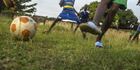 École de football des Maristes : Un entraineur arrêté…