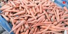 Denrées alimentaires : La décision intelligente de l’Etat pour la filière de la carotte au Sénégal