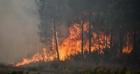 Incendies en Espagne : sept blessés graves et 11.500 hectares détruits