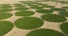 Timimoun : le méga-projet céréalier algéro-italien entre en phase active