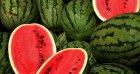 Cette façon de vendre la pastèque est désormais interdite à Constantine