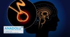 Adénome hypophysaire : ce qu’il faut savoir sur ces tumeurs bénignes du cerveau