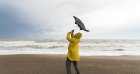 Le temps en Algérie ce week-end : vigilance « jaune » pluies, orages et vents forts ce 10 octobre