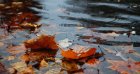 Météo du mardi 21 octobre : temps globalement stable, mais vigilance jaune dans cette wilaya !