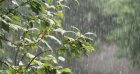 Pluies persistantes attendues ce dimanche 6 juillet : le point météo pour la journée d’Achoura