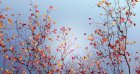 Faut-il s’attendre à des pluies ce mercredi 8 octobre ? Voici les prévisions météo du jour !