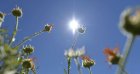 Temps calme ou pluies orageuses ? Voici la météo du mardi 7 octobre en Algérie !
