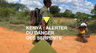 Kenya : les serpents venimeux, une plaie pour la société