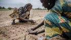 Chaleur meurtrière au Sahel : une étude incrimine le changement climatique 