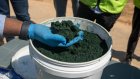 RDC: prolongation de la suspension de l'exportation du cobalt