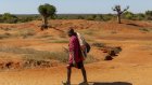 Pourquoi faut-il irriguer les cultures en Afrique?