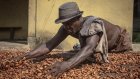 Le Ghana se prépare à une campagne principale de cacao anticipée