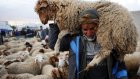 Tunisie: pour l’Aïd, les clients renoncent à l’achat d’un mouton entier