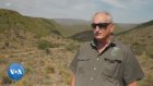 Le spekboom, un atout précieux pour la réhabilitation des sols arides en Afrique du Sud