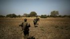Tchad: le partenariat avec African Parks pour la gestion des espaces protégés a finalement été relancé