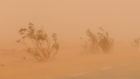 Impressionnante tempête de sable à Tozeur et Kébili