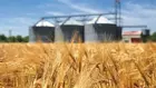 BCT : Révision des barèmes des crédits de céréalicultures