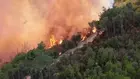 Jendouba : incendie maitrisé à Bghoura