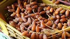 Dattes : les exportations bondissent de 13,3 %