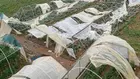 Les agriculteurs attendent toujours leurs indemnisations...