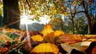 Météo : Légère hausse des températures, ce lundi