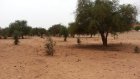 Niger: au moins 71 morts lors d'une attaque menée dans la commune de Manda