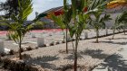 Massacre de Thiaroye : un Livre blanc remis jeudi au président sénégalais Diomaye Faye