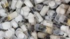 Kenya: quatre personnes arrêtées pour trafic de fourmis